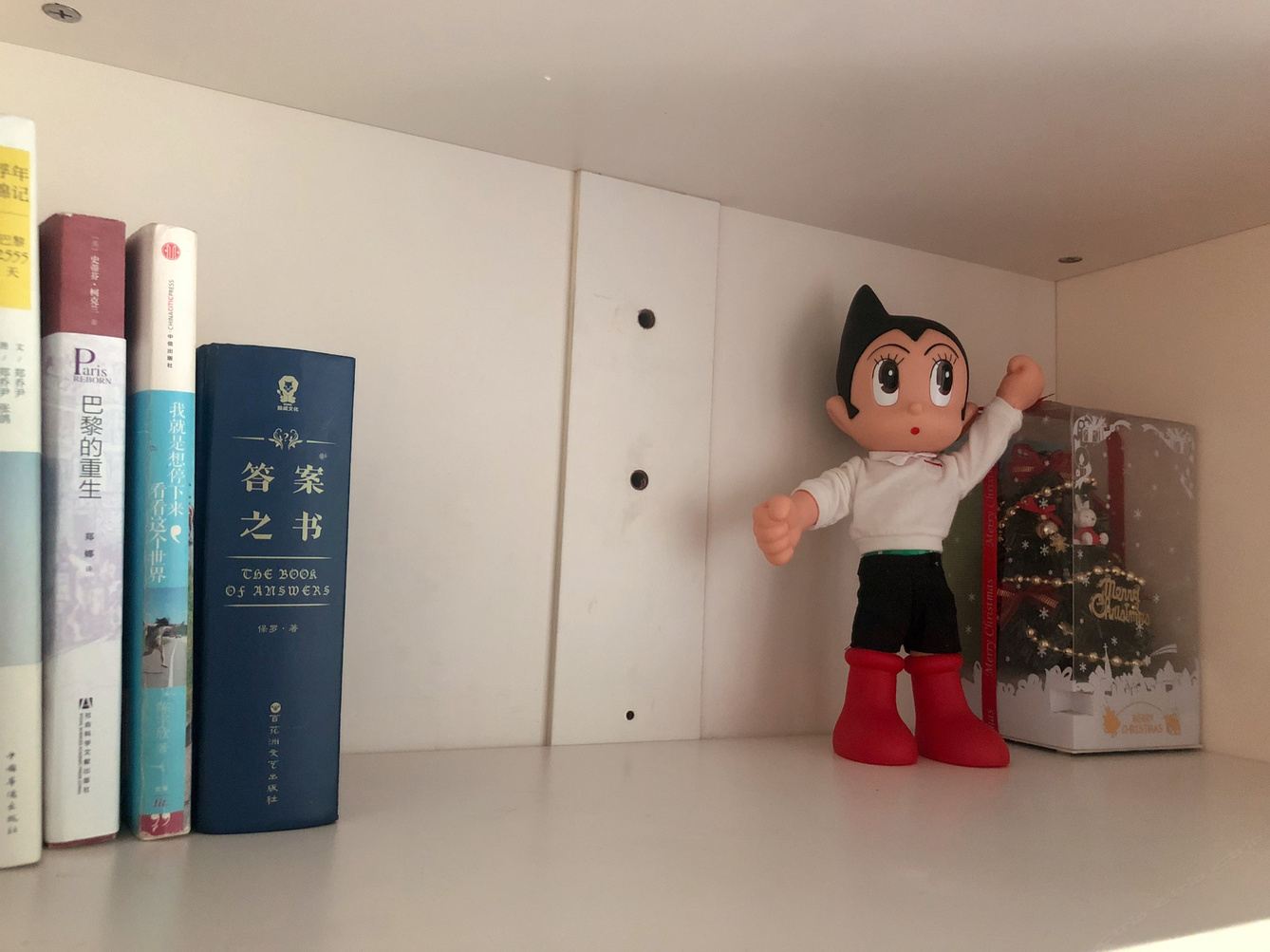 其他