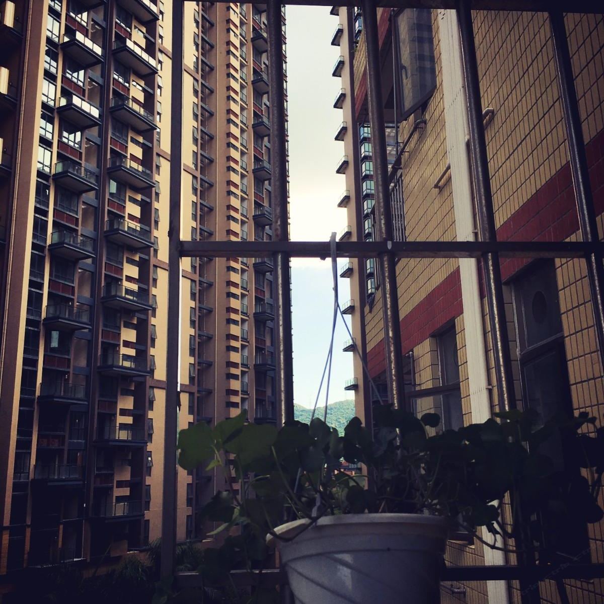 深圳看见风景青年旅舍