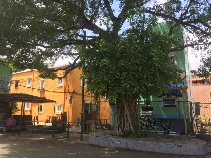 深圳西涌栖息地habitat民宿