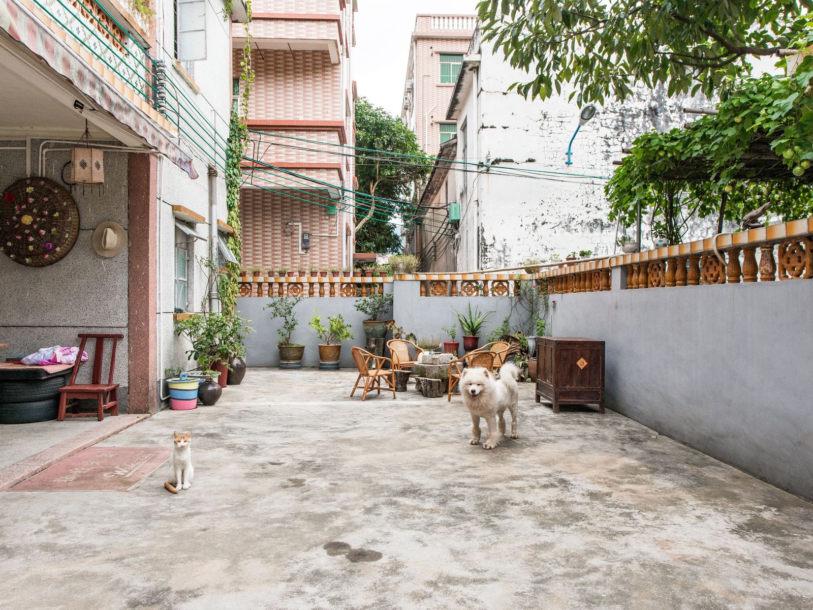 深圳玫瑰小院农家乐