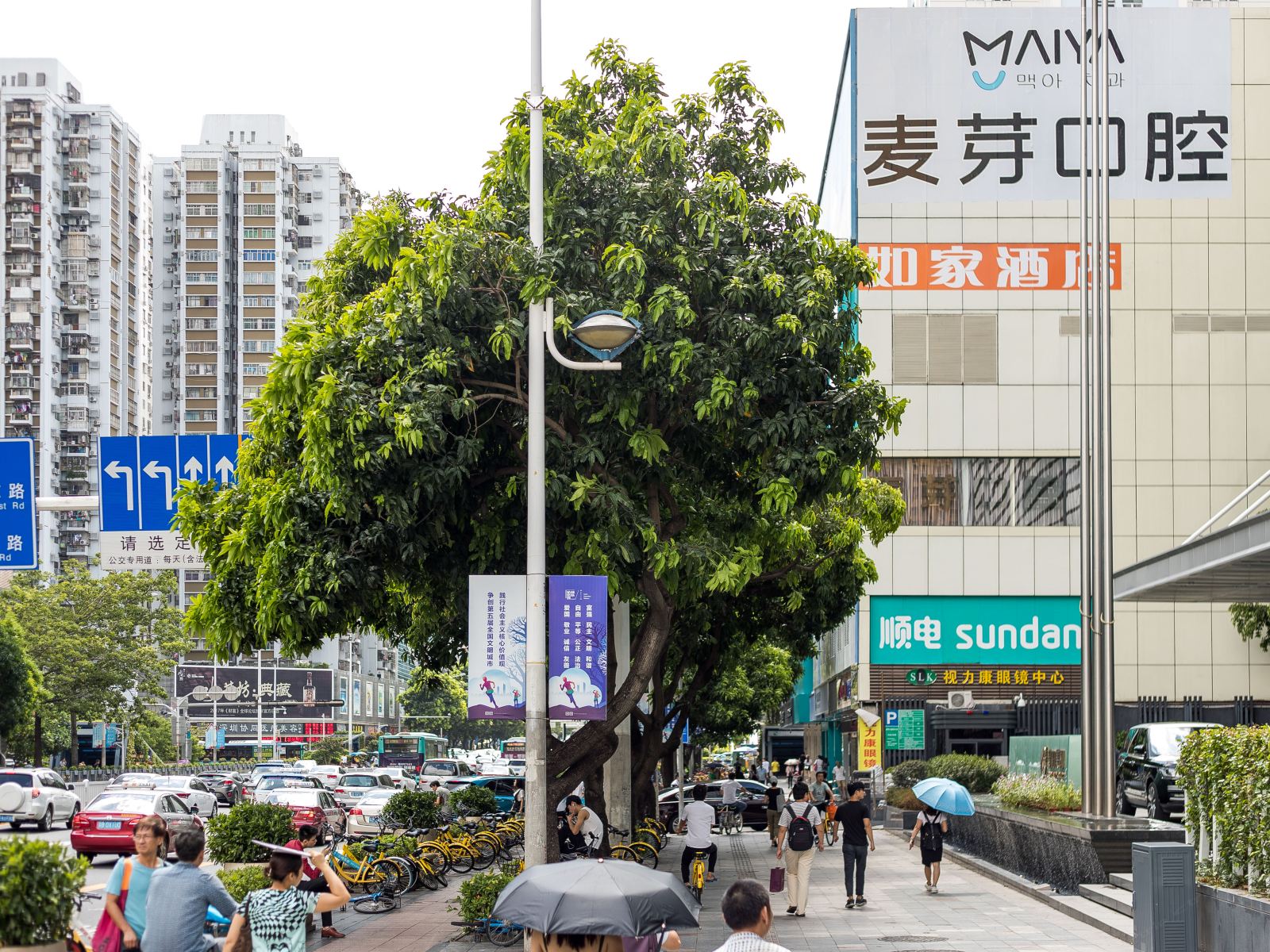 纳福居时尚公寓(东门店)