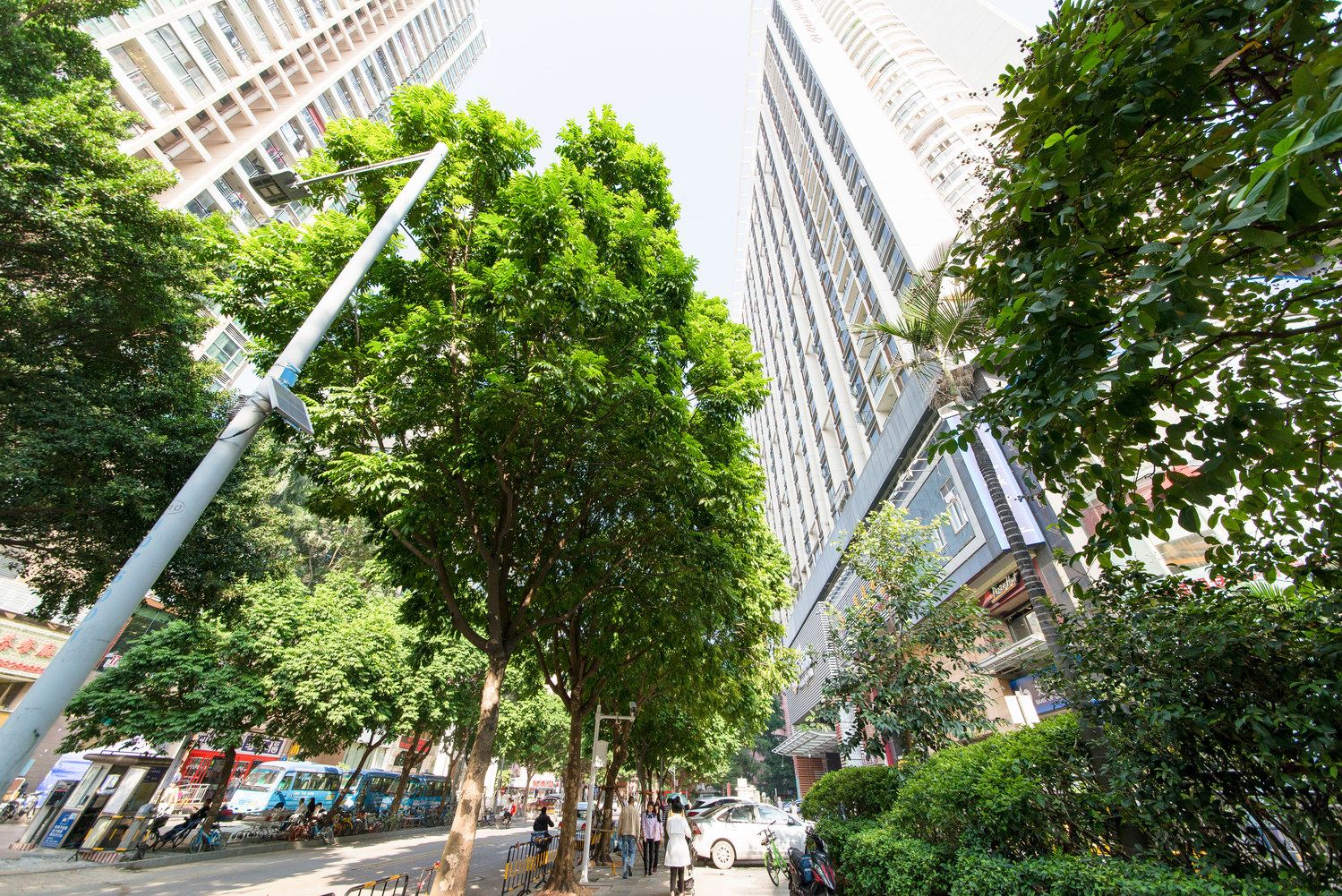 深圳随寓家普通公寓(沙尾路店)