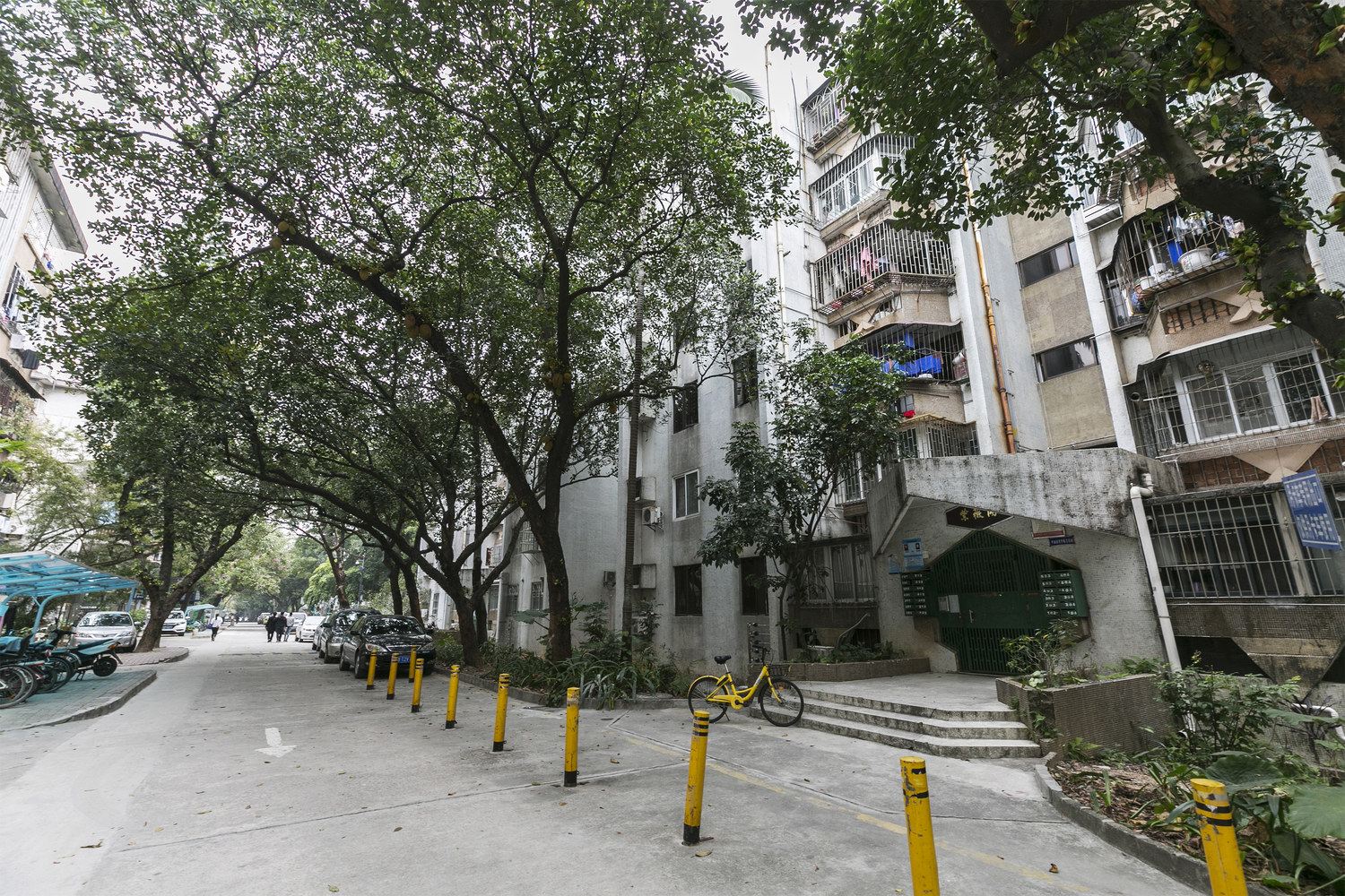 深圳小阿紫6585普通公寓(中新街分店)