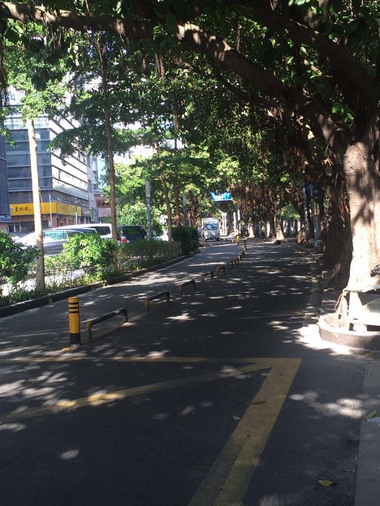 深圳Tea apt普通公寓