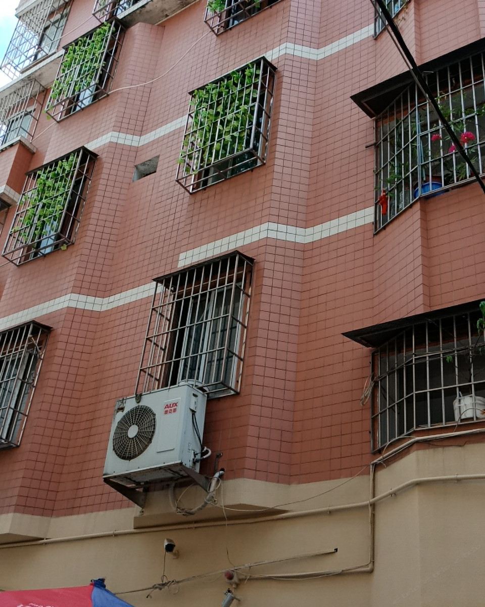 深圳温情小屋旅馆