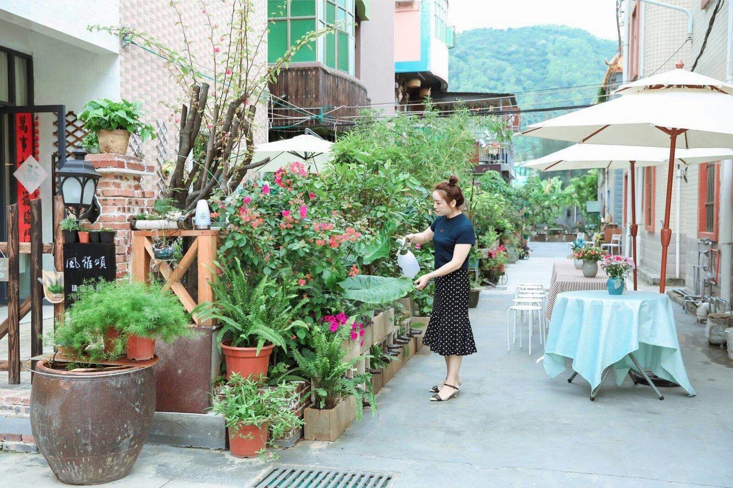 深圳风雅颂民宿客栈