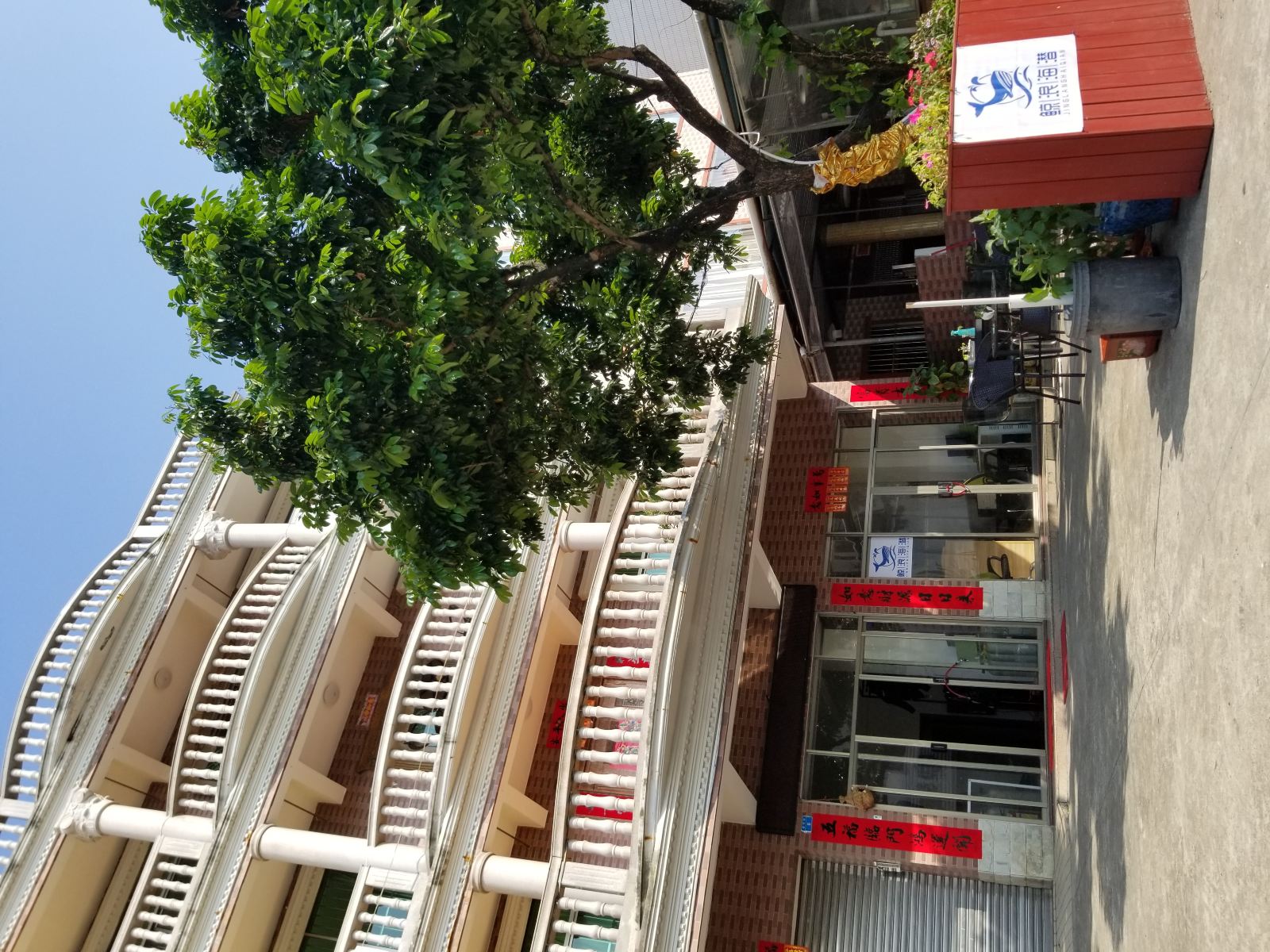 深圳鲸浪海潜民宿