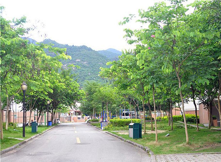 广州温馨度假别墅
