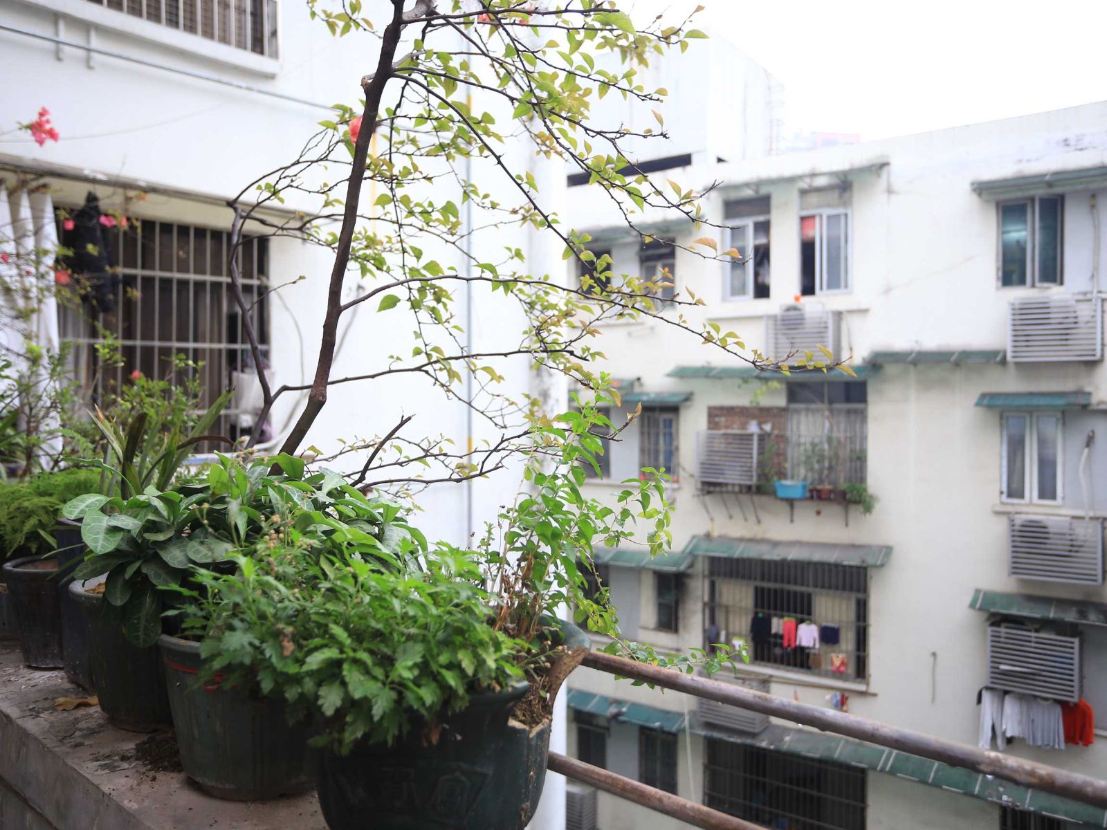广州you加青年公寓火车站店