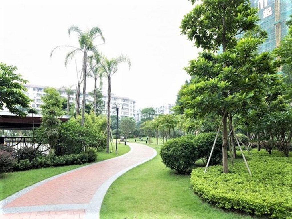 广州荔湾 地铁旁 花园小区 舒适温馨普通公寓