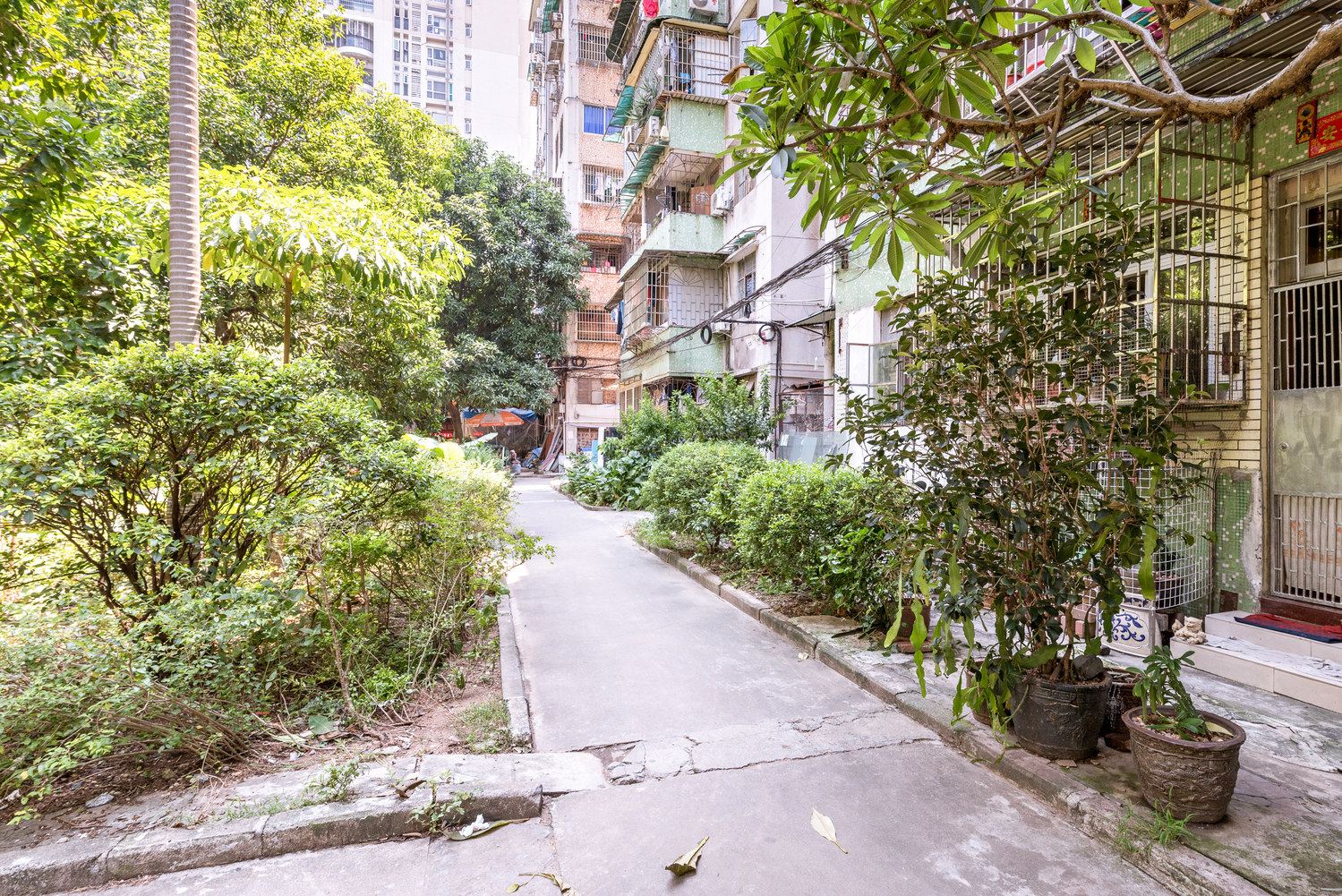 广州近广州塔童公寓