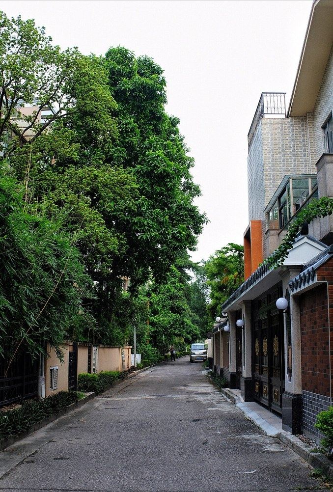 广州WVILLA联排别墅