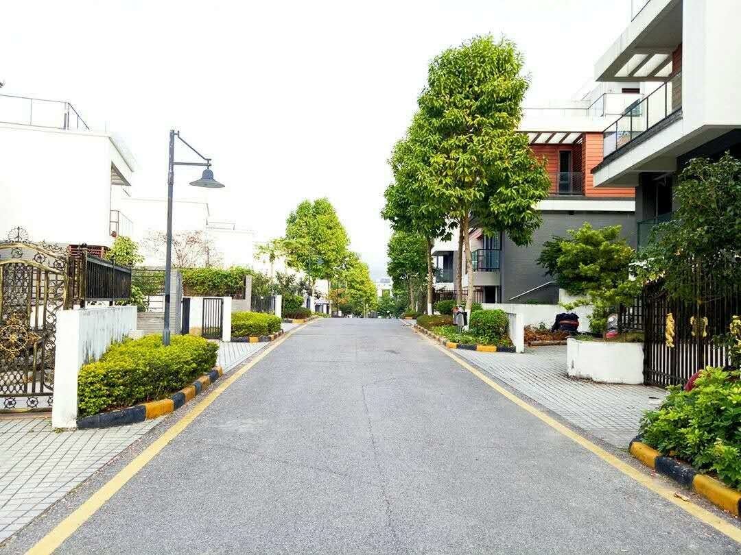 广州从化温泉轰趴主题别墅(紫檀一路店)