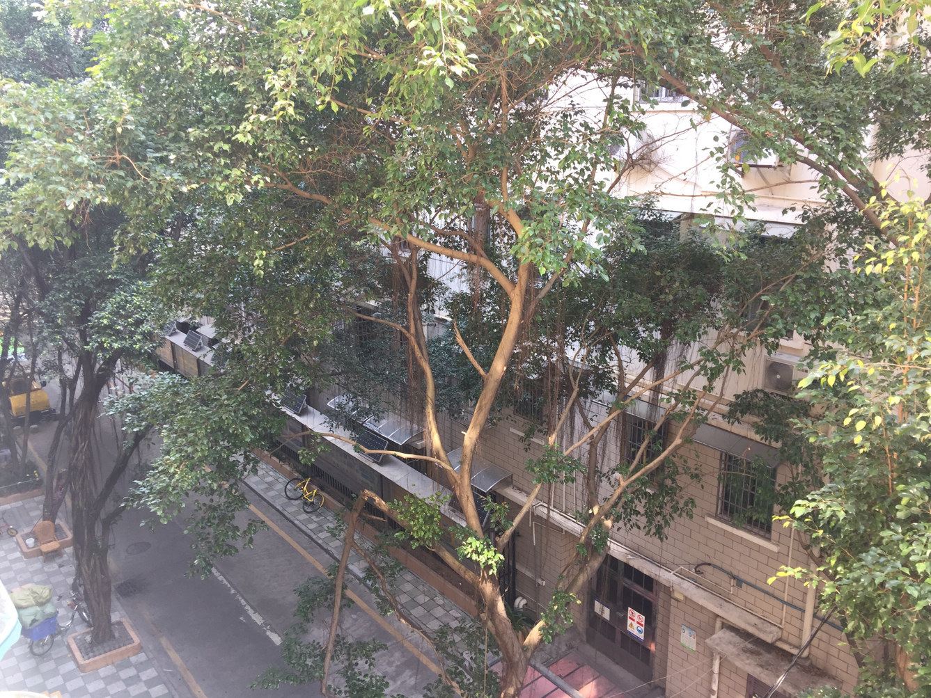广州大华街街霸公寓