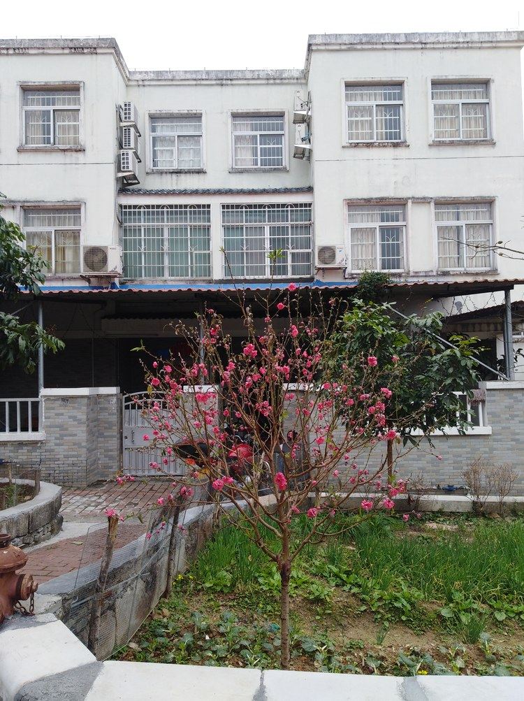 广州李小姐..特色民宿