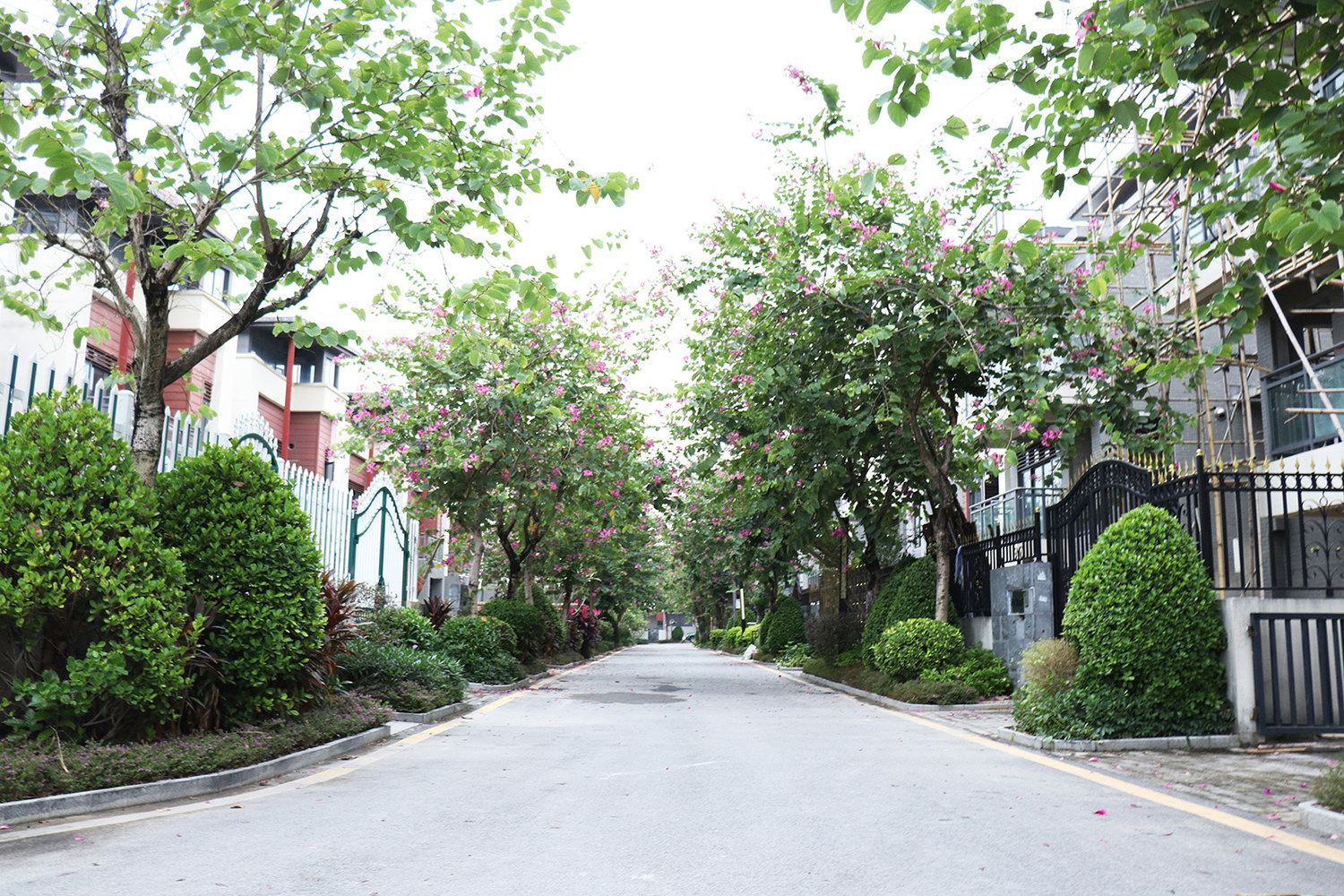 广州乐派之家-广州店度假别墅(伴山二路店)