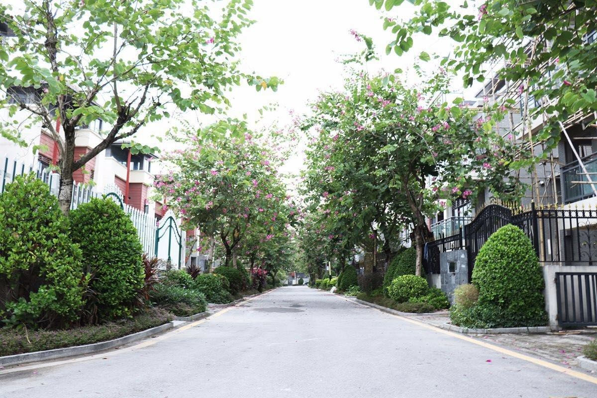 广州从化温泉富力优雅别墅