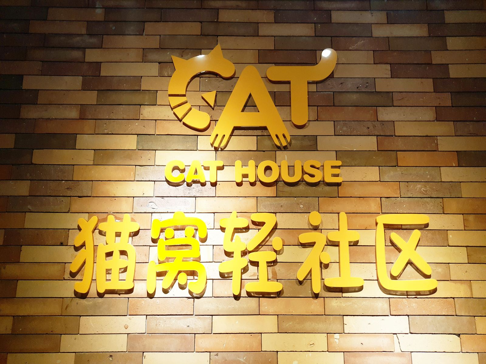 广州猫窝公寓