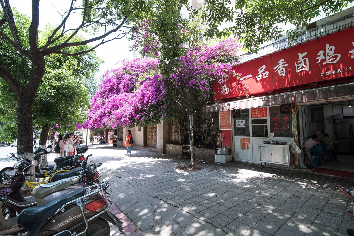 昆明翠湖边舒适二居室普通公寓