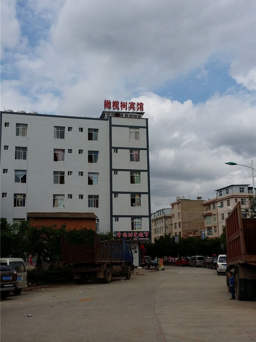 昆明橄榄树宾馆