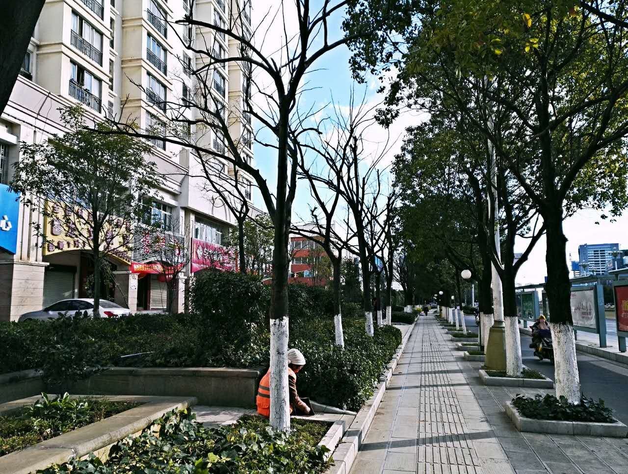 昆明风凌子家普通公寓