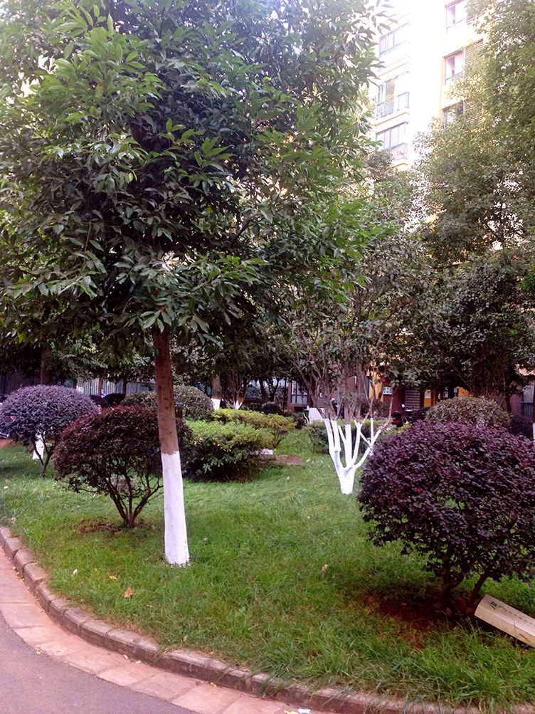 昆明滇池边上的灰色彩虹普通公寓