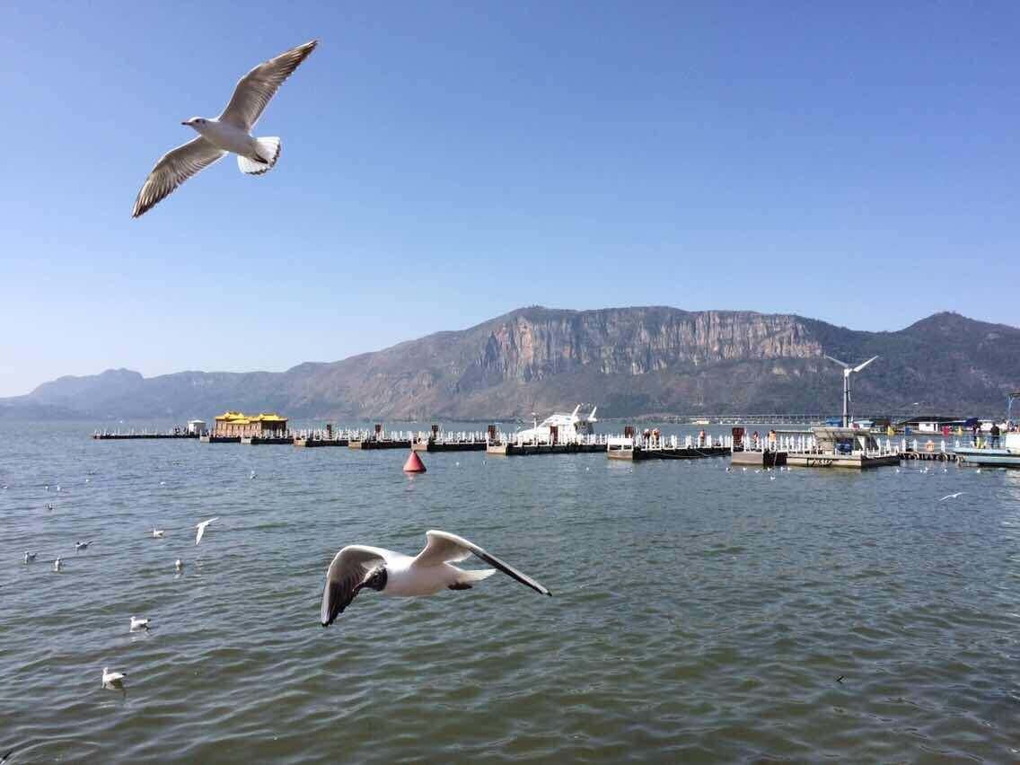 昆明滇池雅宿客栈