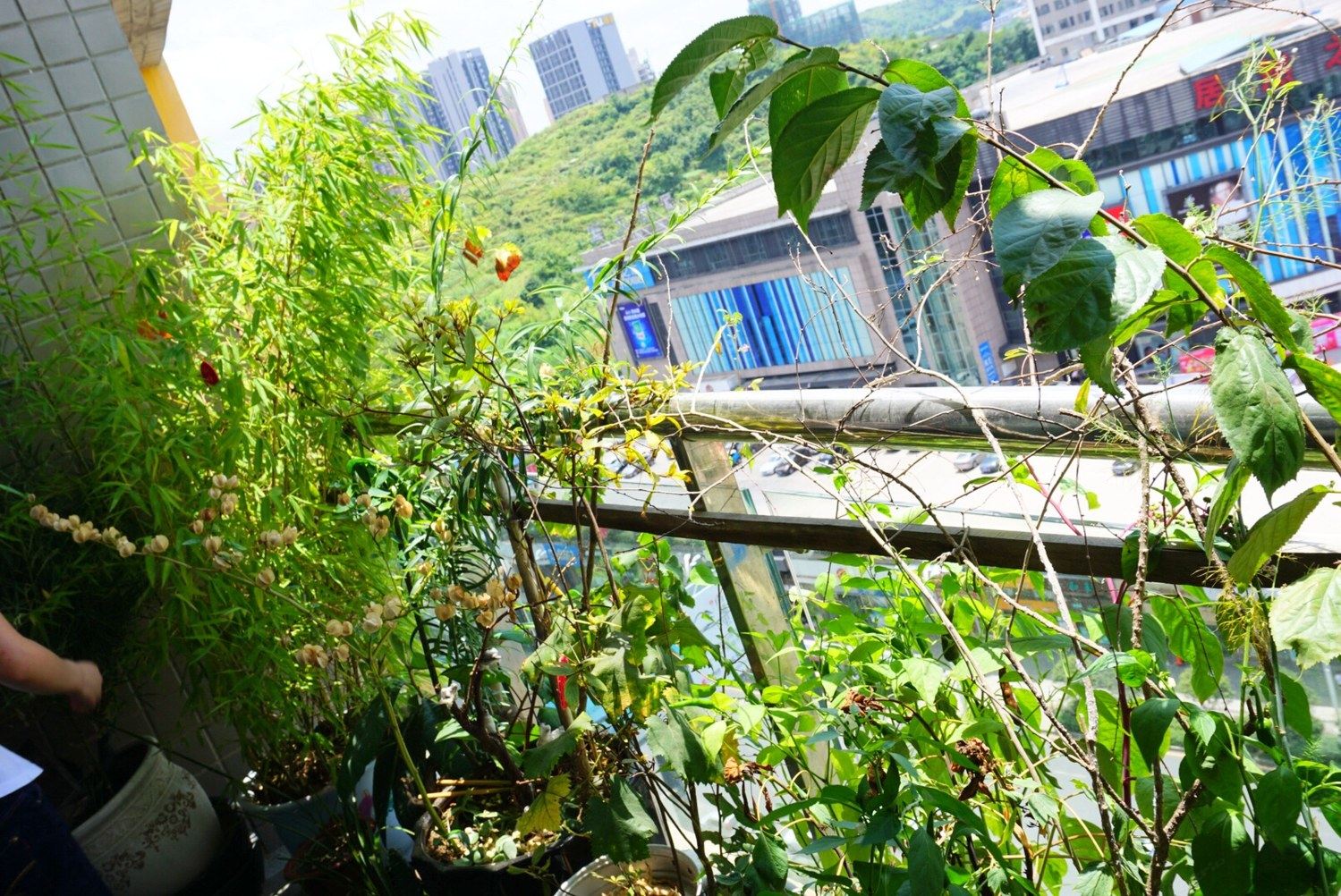 贵阳叶子小屋