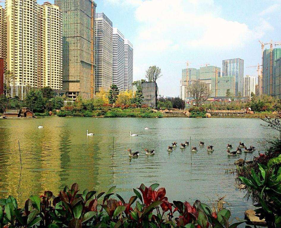 贵阳阿利亚里斯湖畔客栈