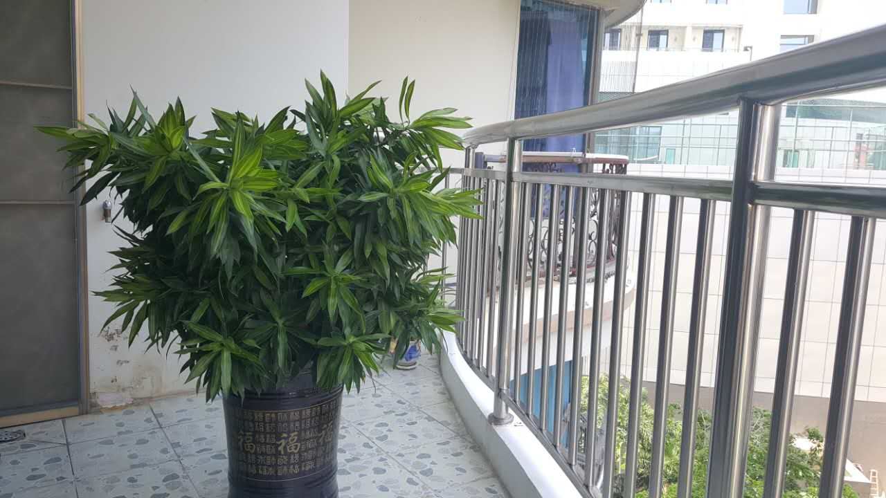 三亚湾椰之家(蓝天海岸)度假海景酒店公寓酒店式公寓