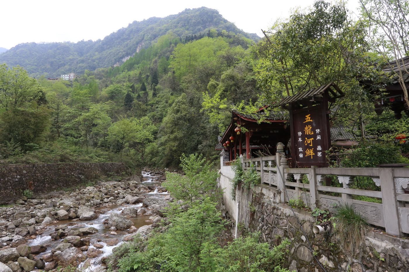 青城山五龙河鲜旅馆