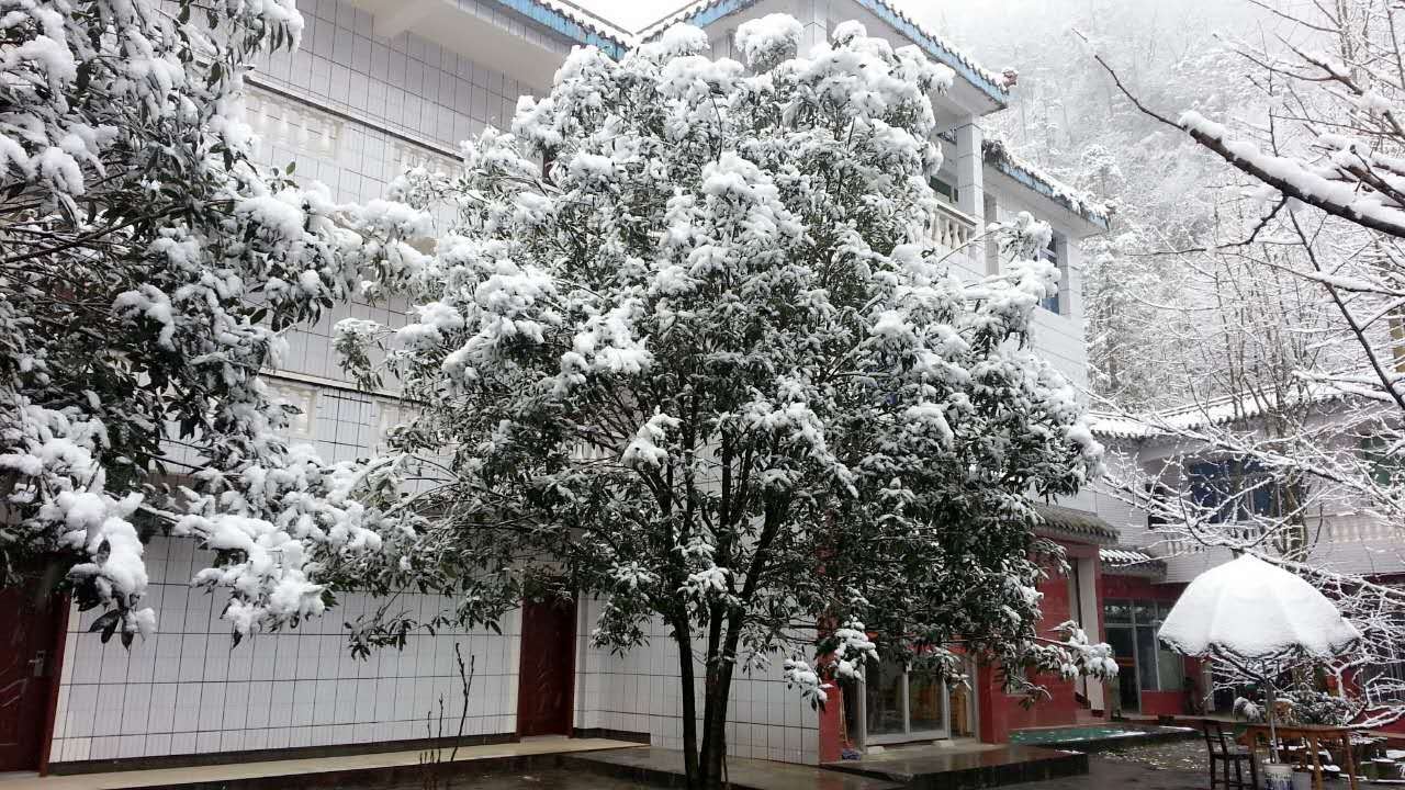 青城山绿缘山庄
