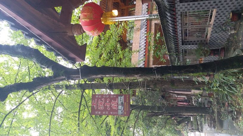 青城山静香苑