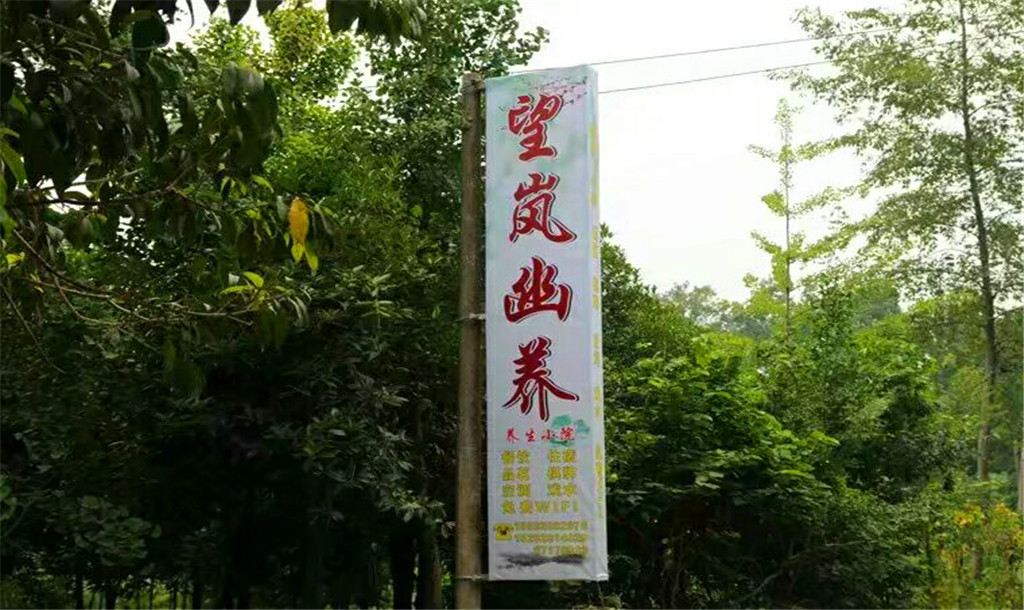 都江堰望岚幽养养生小院住宿
