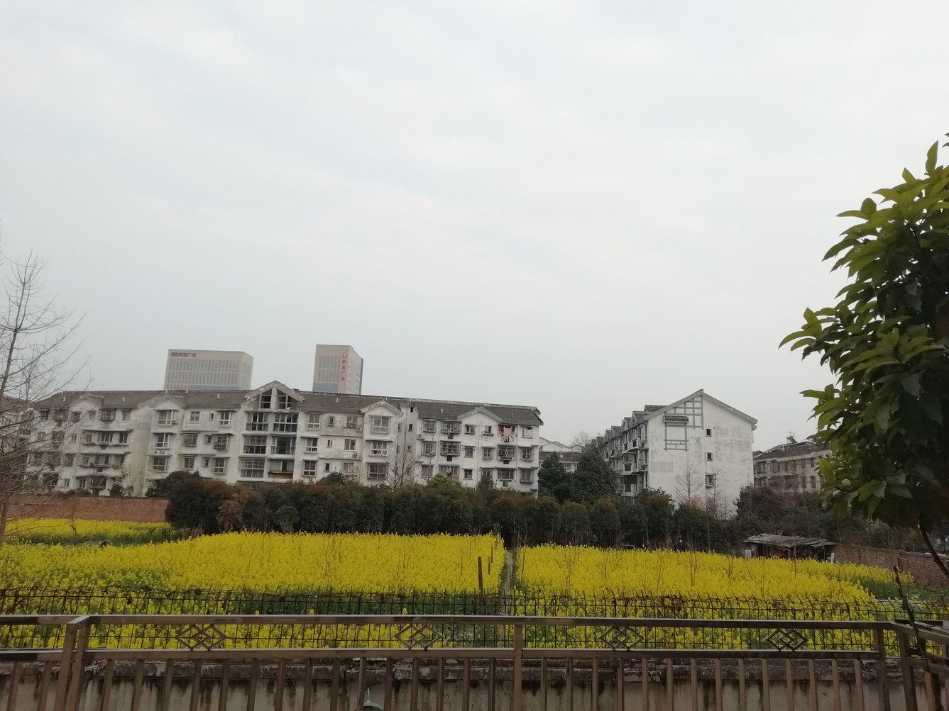 成都咪徐咪公寓(安康南路口分店)