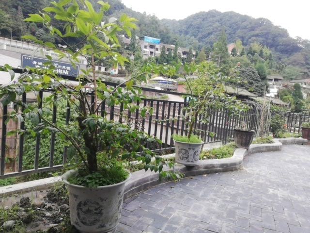 青城后山宸源客栈