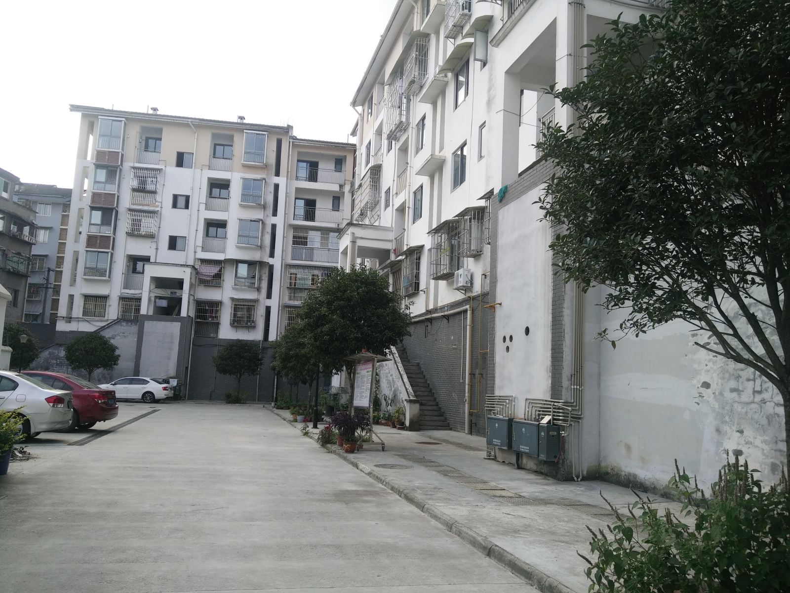 都江堰桂花树小院民居