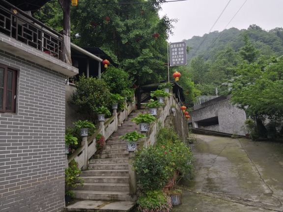 青城后山四哥农家乐
