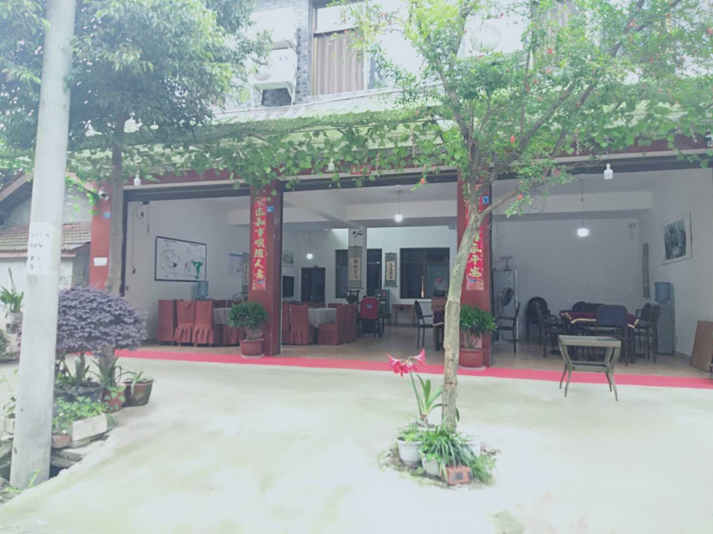 青城山古枫农家乐