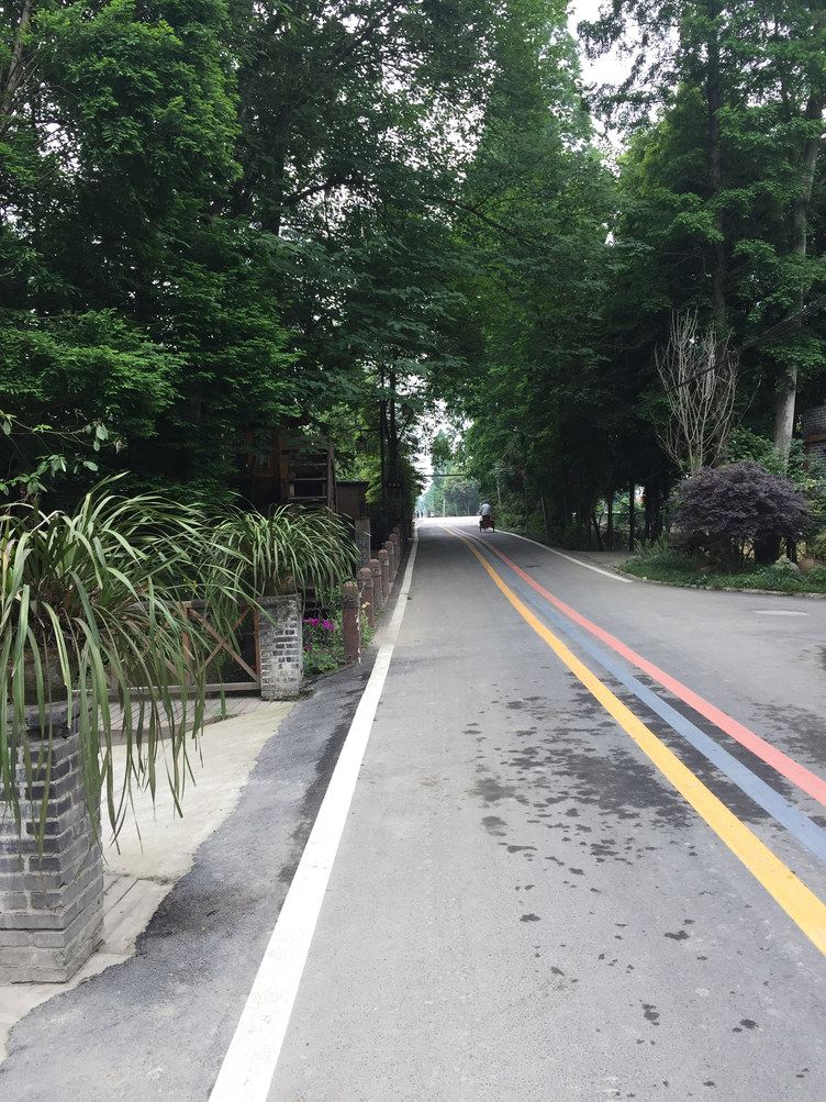 成都成都黄雨公寓