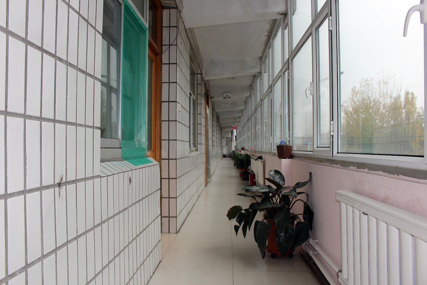 公共区域
