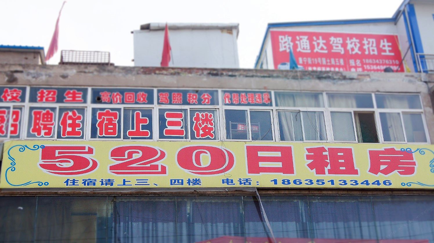 外观