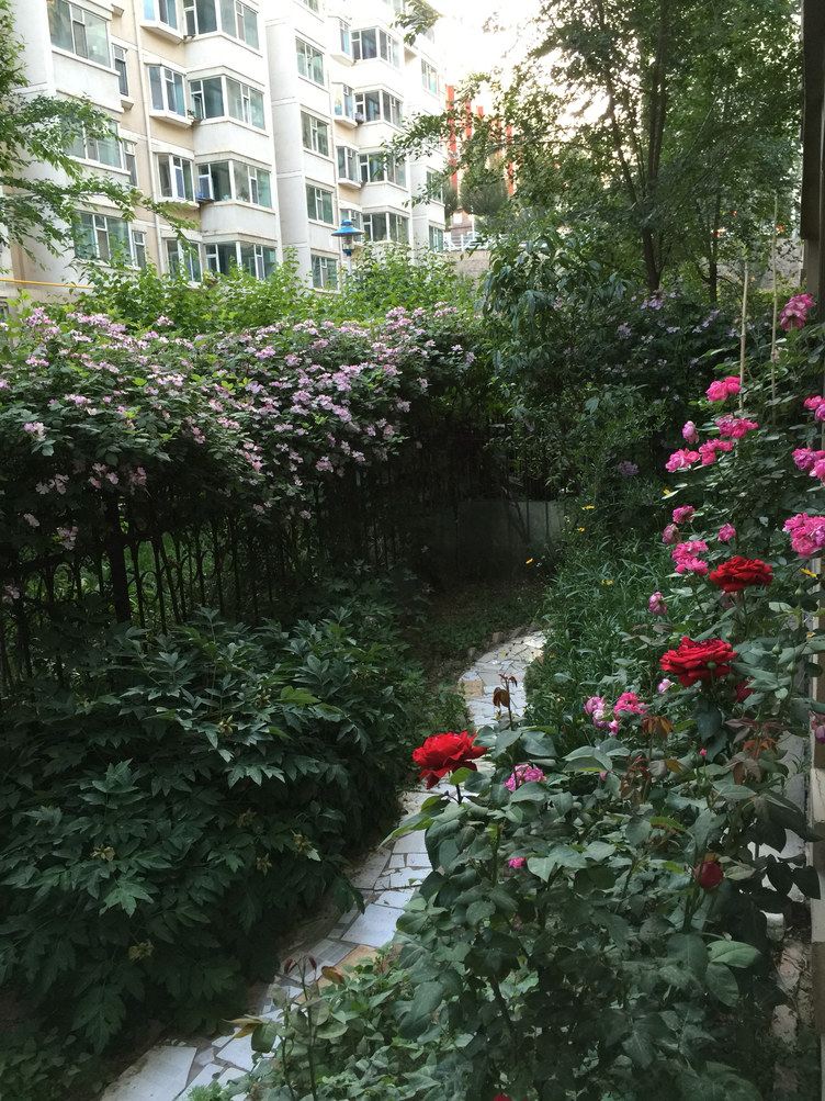 西宁蔷薇花家庭公寓