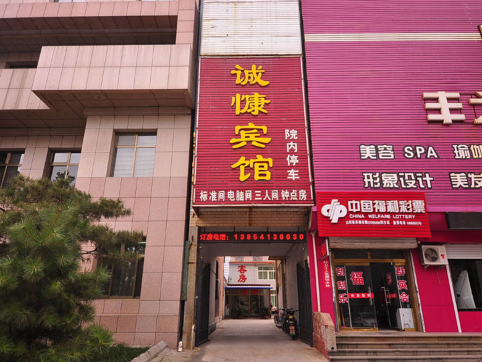 外观