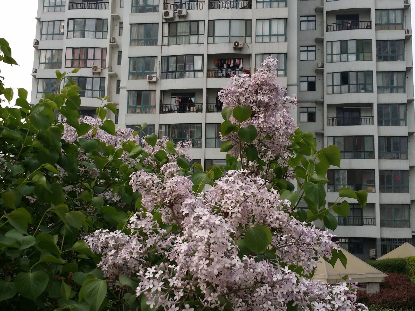 秦皇岛世纪海洋花园海景公寓燕山大学店