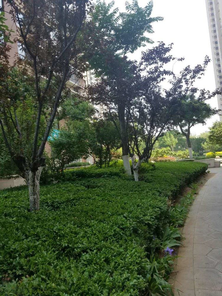 秦皇岛妤家小栈酒店式公寓