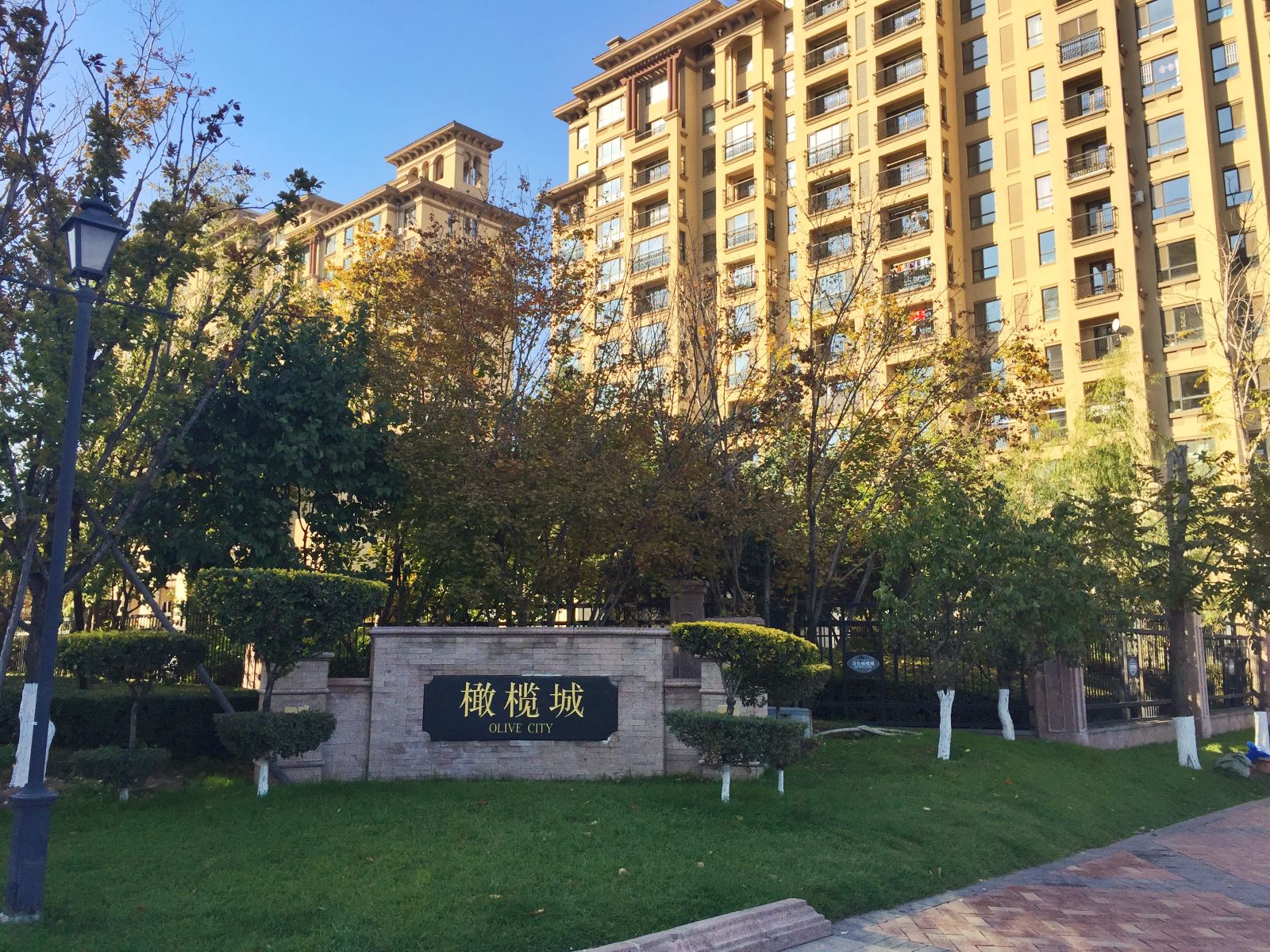 长春金橄榄日租房