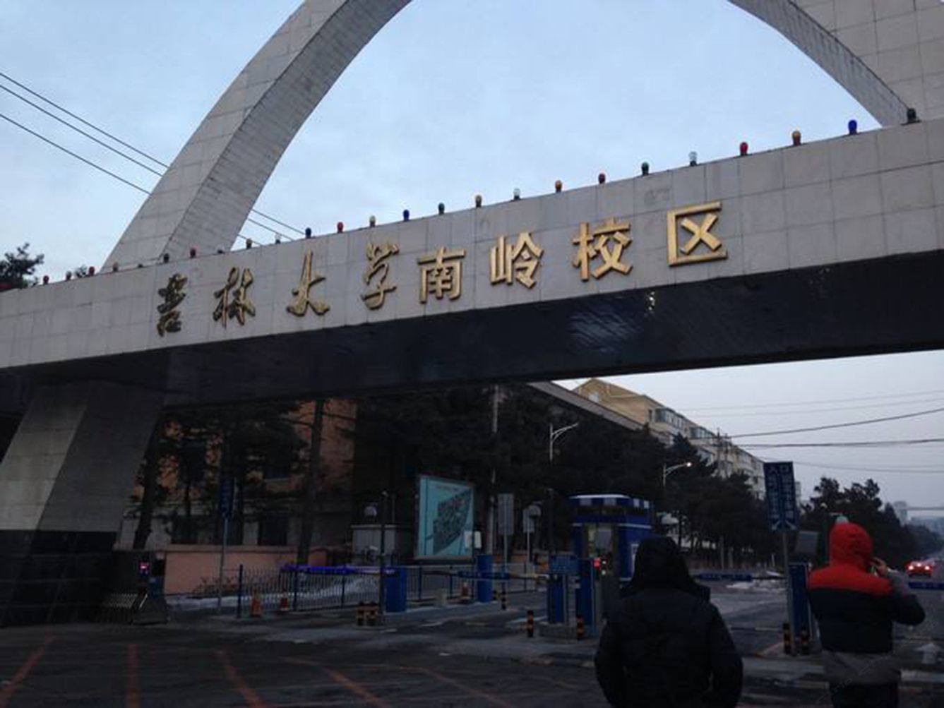 其他