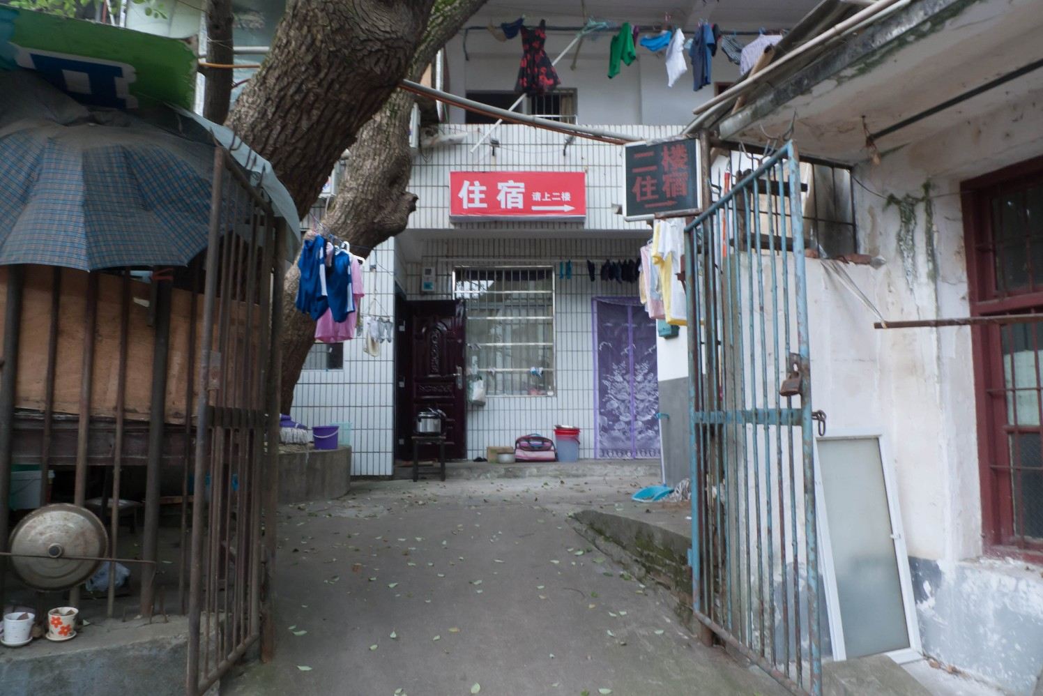 长沙鸟树下客房部