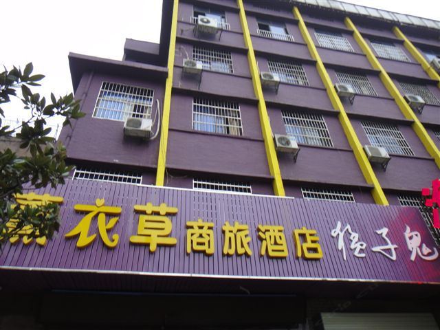 长沙薰衣草酒店